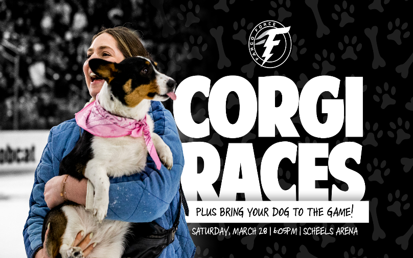 More Info for Fargo Force vs. Dubuque